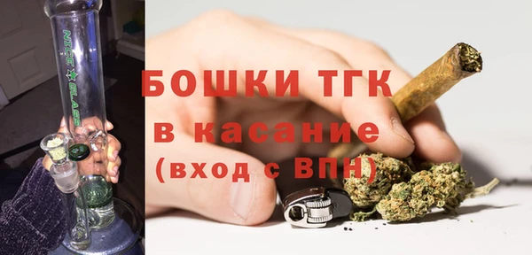 сатива Армянск