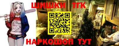 СК Долгопрудный