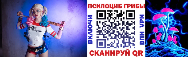 Псилоцибиновые грибы GOLDEN TEACHER  МЕГА ССЫЛКА  Курган  хочу  