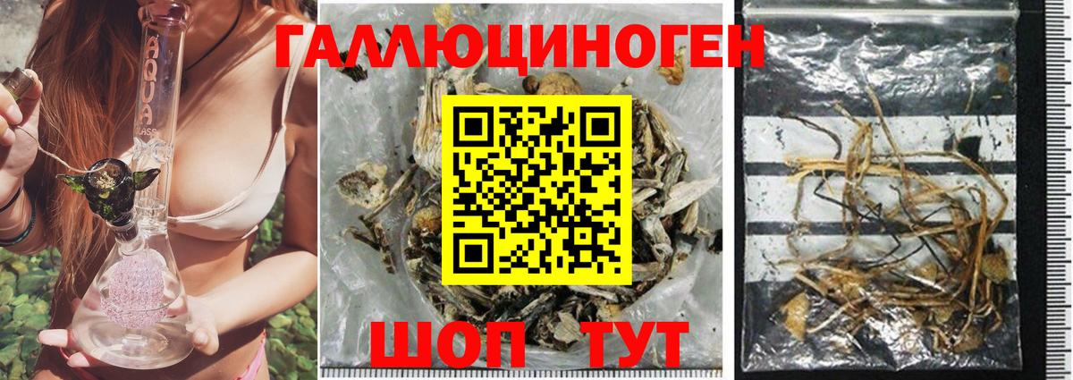 Псилоцибиновые грибы MAGIC MUSHROOMS  цены наркотик  Курган  Вход с VPN 